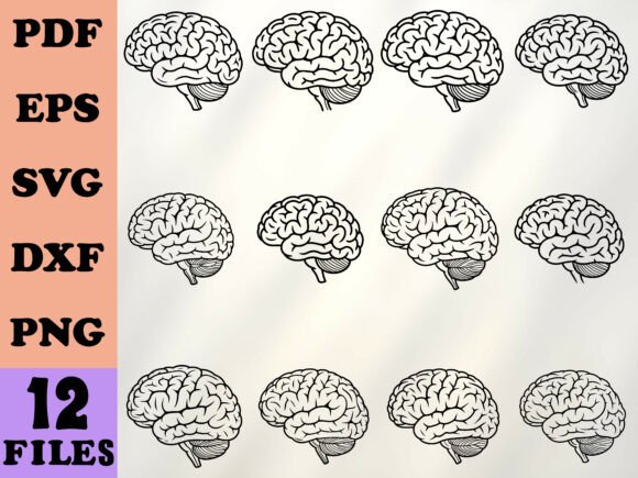 Human Brain Line Art: An Unusual Embroidery Design